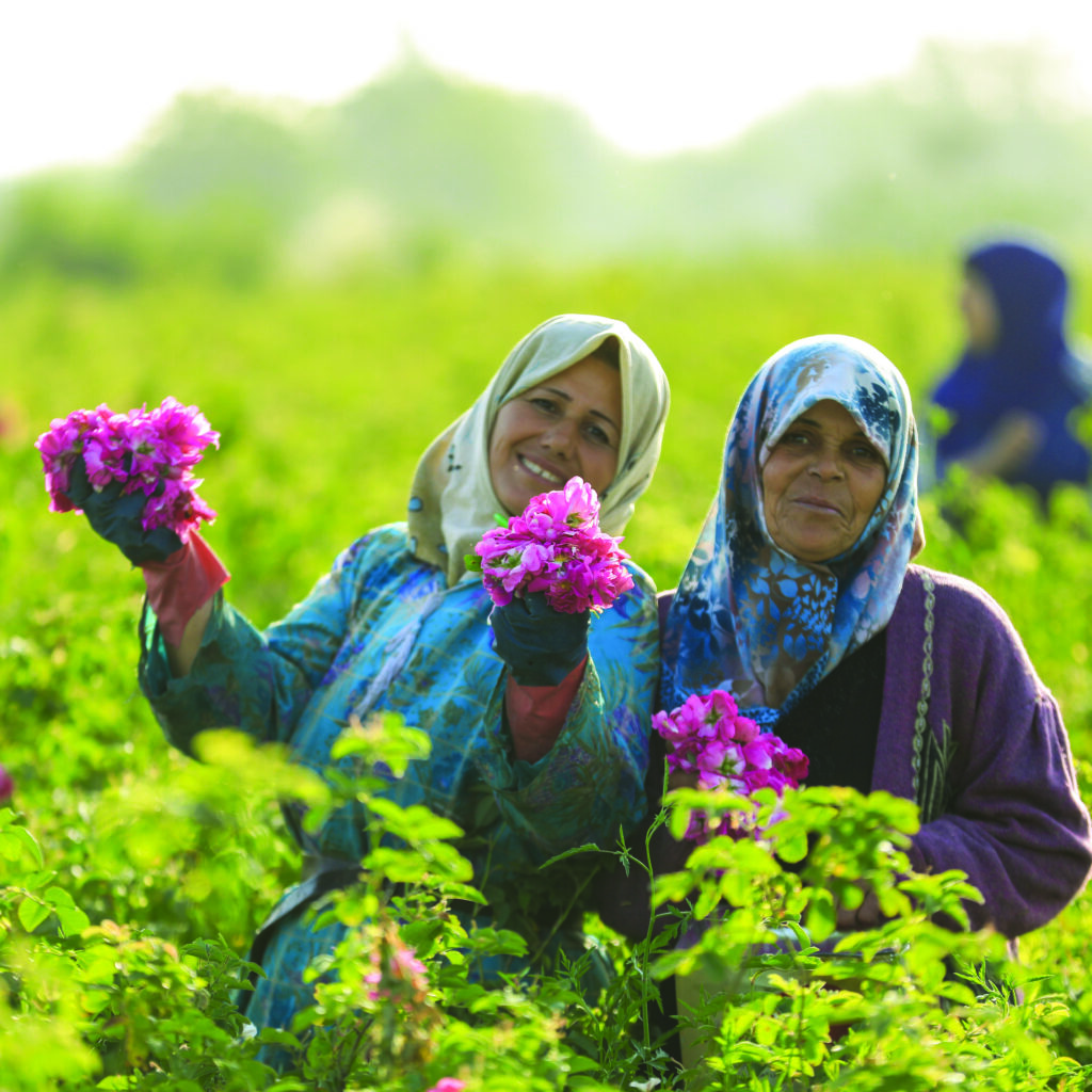 La Rose de Damas : symbole de résilience et de patrimoine culturel syrien